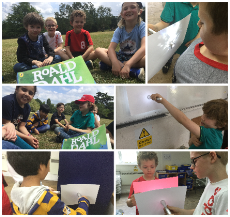 Year 3 Science and Stories